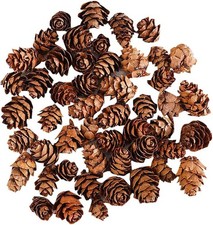 100 Pcs Christmas Pine Cones