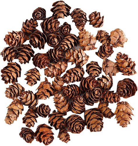 100 pcs christmas - pine, cones