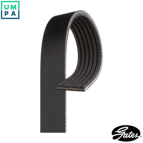Vribbed belt 6pk1420 - vribbed, for