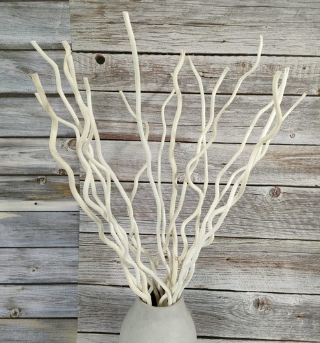 Inch dried natural - 21-23,