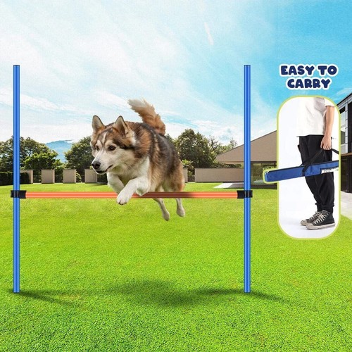 Pawise pet dog agility - pawise,