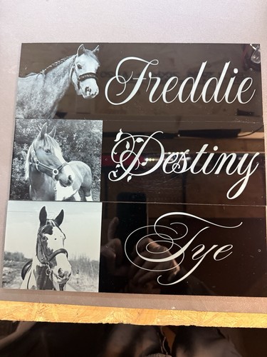 Horse stable door name - name, plates