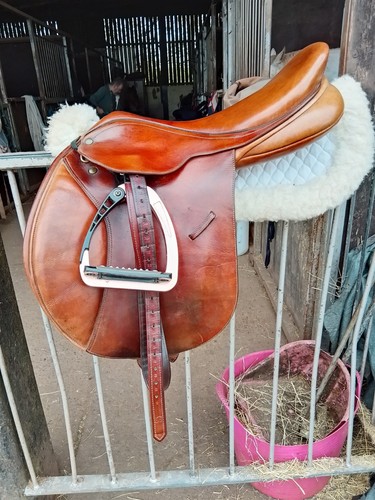 Bates caprilli saddle 5 - bates,