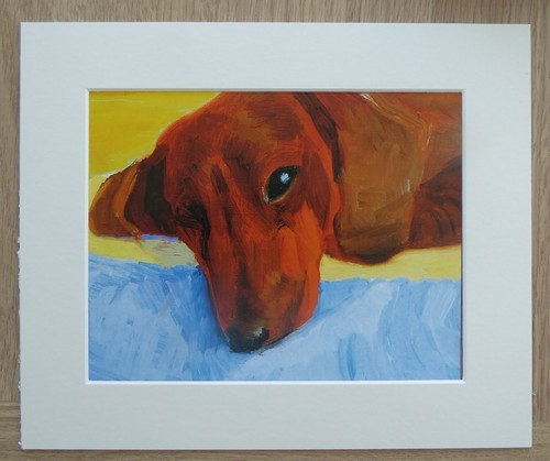 David hockney sleeping - david, dogs