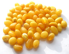 Real Baltic AMBER Polished