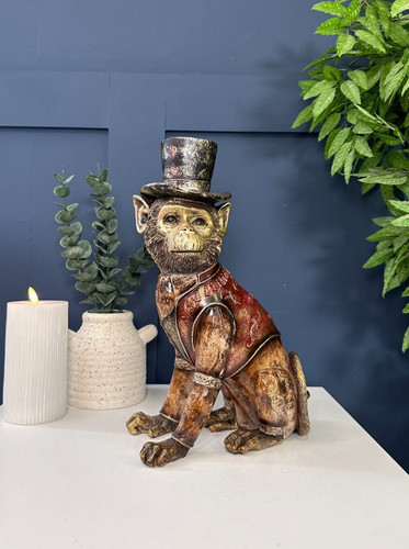 Premium dapper monkey - premium, in