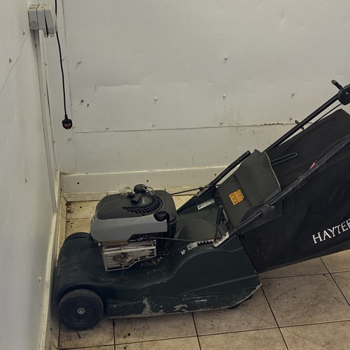 Hayter petrol rotary - petrol, lawn