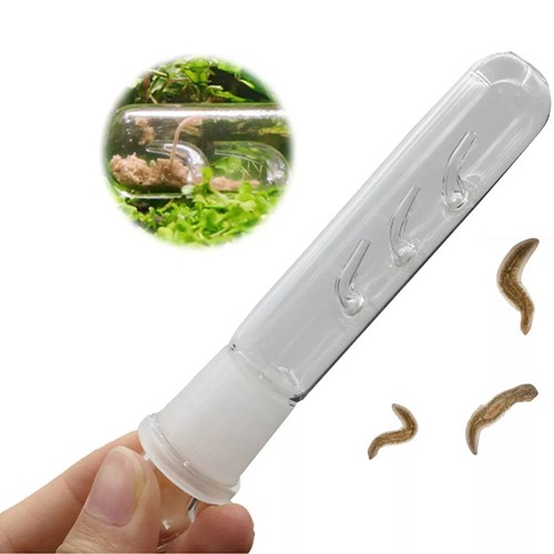 5pcs clear snail - 1-5pcs, trap
