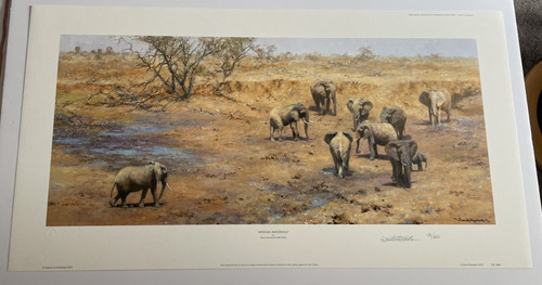 African waterhole david - waterhole,