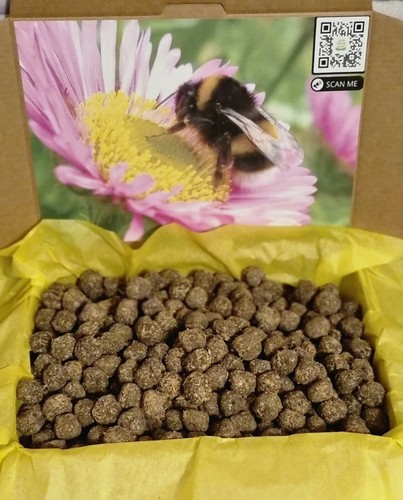 100 handmade bee bombs gift - 100,
