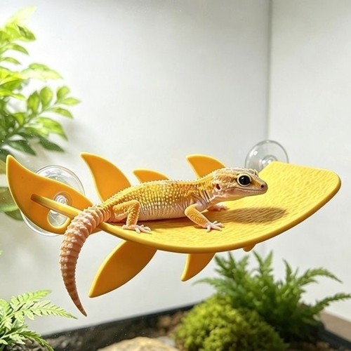 Lizard reptile resting - lizard,