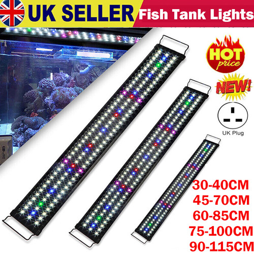 New aquarium fish tank - aquarium,