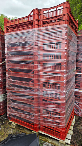 Red plastic bakery trays - 50,