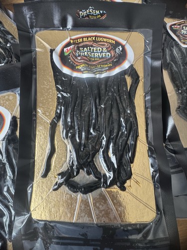 Salted lugworm fishing bait - fishing,