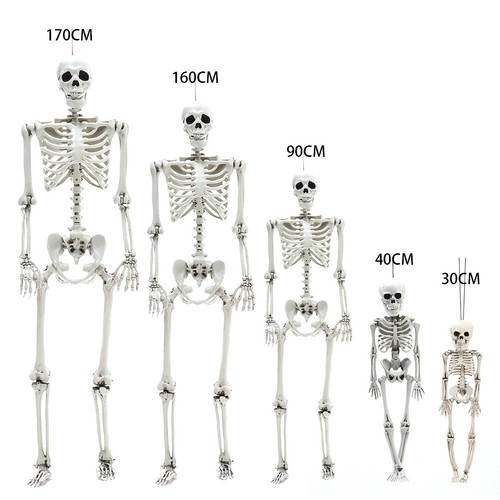 Halloween real life size human - life,