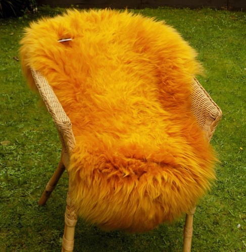 Extra large marmalade - xl,