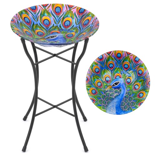 Glass bird bath - bird, garden