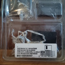 Warhammer Fantasy: Bretonnian