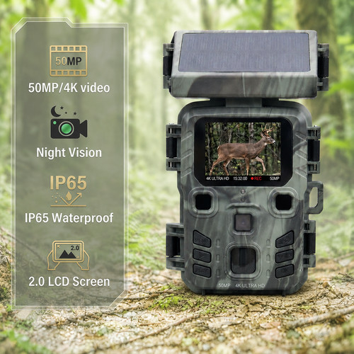 Solar trail camera - solar,