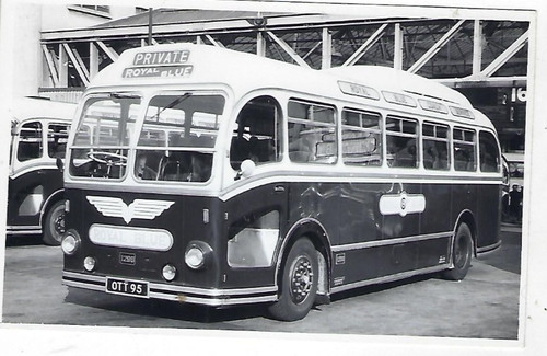 Bus photo ott95 royal blue - bus,