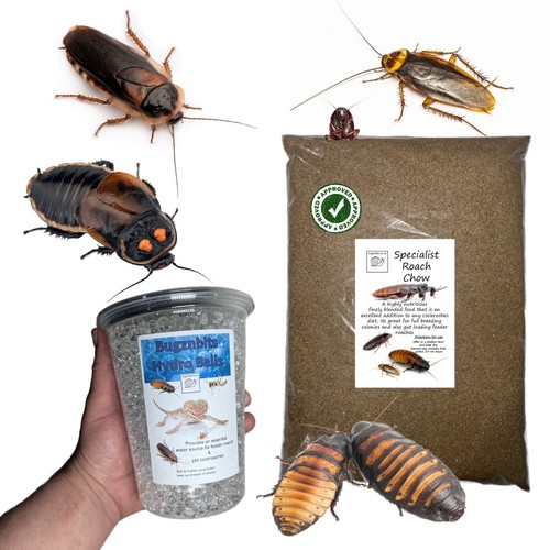 Specialist roach chow hydro - chow,