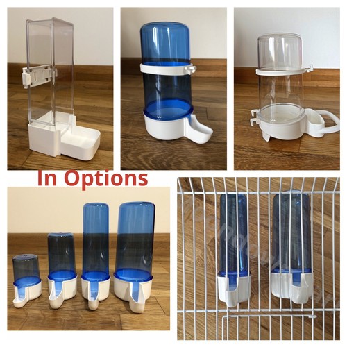 Bird cage water - bird,