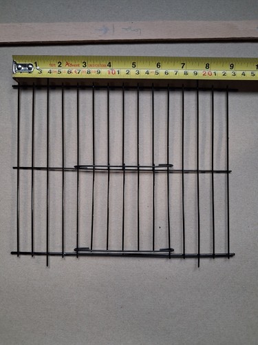 Bird cage front with - bird,