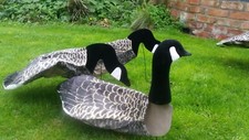 Goose Decoys Sillosock Canada
