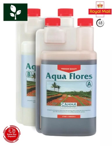 Canna aqua flores 1l - canna,