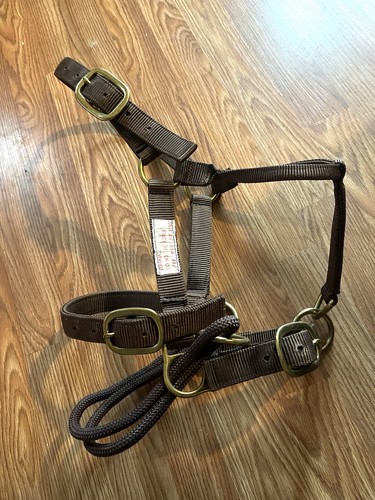 Brown monty roberts dually - monty,