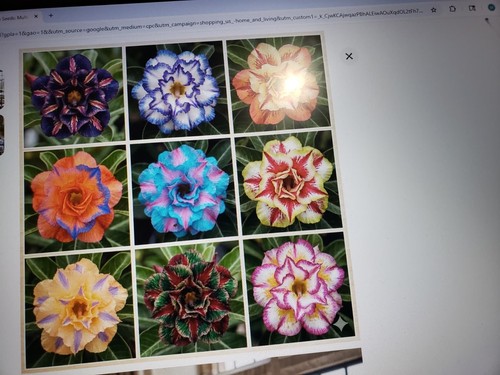 Mixed color different - 20,