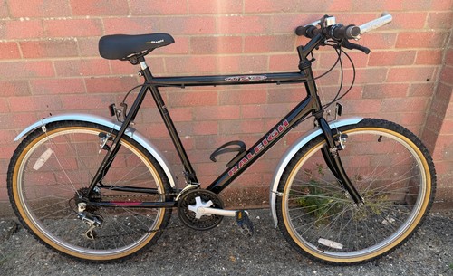 Retro raleigh max mountain - raleigh,