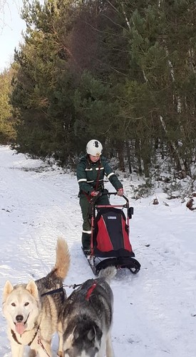 Rowerland sled dog - rowerland,
