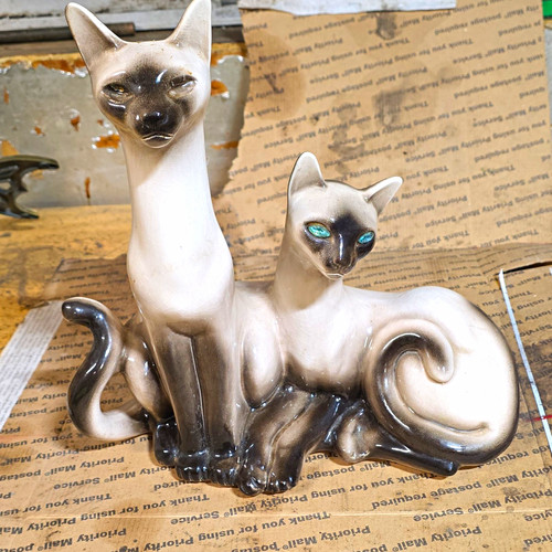 California originals siamese - california,