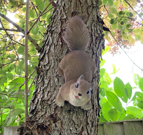 Red squirrel garden ornament - red,