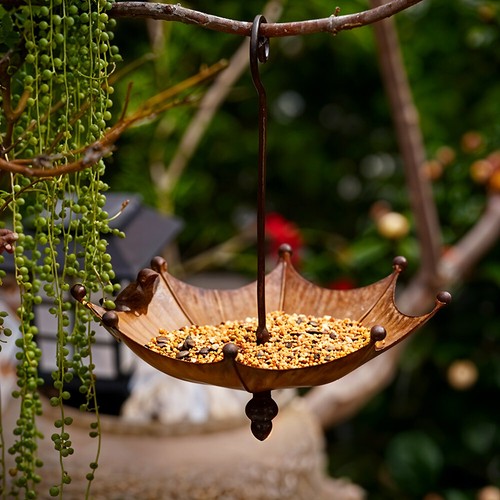 Hanging garden bird - garden,