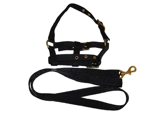 Mini foal headcollar lead - mini,