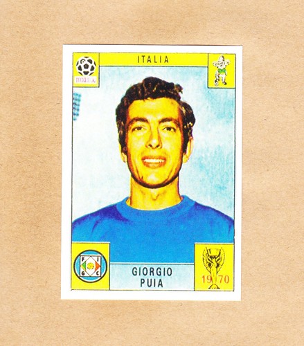 Panini fifa world - -,