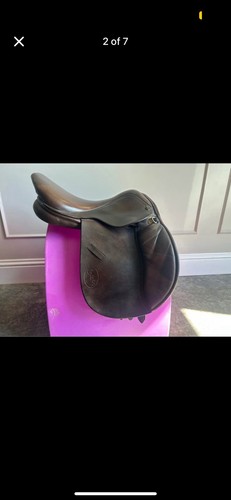 Brown gfs pony - brown,