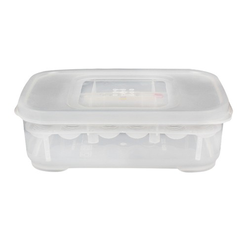 Reptile egg incubator box - reptile,