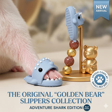 Hamster Shoes Cute Shark
