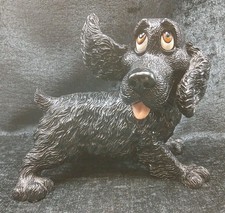 PETS WITH PERSONALITY  Zippy