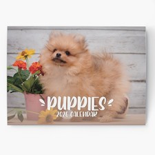 2026 Puppies Dogs Calendar