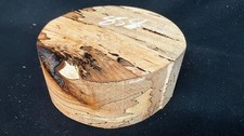 B Grade dry 10" x 4.5" spalted beech, large wood turning blank  (858)