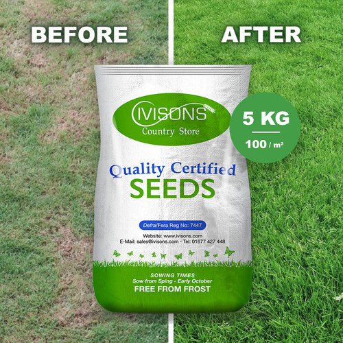 5kg grass seed quality - grass,