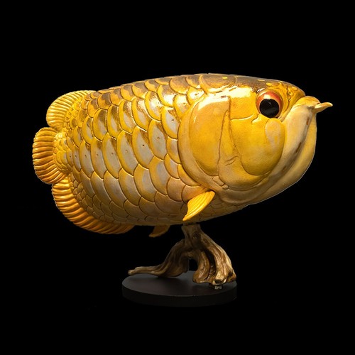Animal heavenly body asian - body,