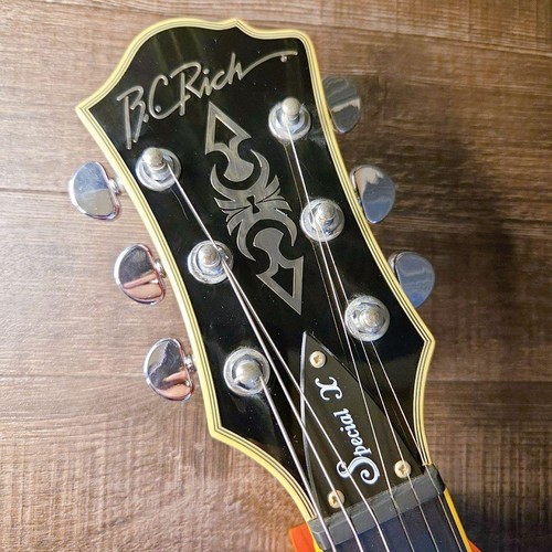 Rich mockingbird special - b.c.,