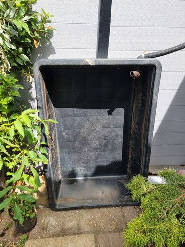Koi pond quarantine - quarantine, tank.
