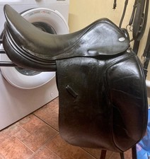 Jaguar Harry Dabbs Dressage