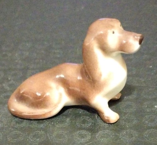 Miniature lomonosov dachshund - miniature,